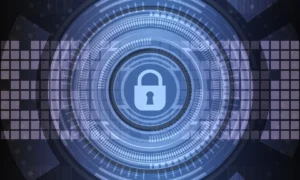 L’ERP, pour fluidifier les processus et orienter la stratégie